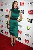 Los Ángeles, 18 de septiembre - Emily Lowe en la gala de premios de defensa de la industria de la televisión en el hotel Sunset Tower el 18 de septiembre de 2015 en West Hollywood, CA foto