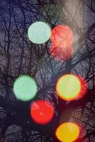 abstract tree with lights and double exposure photo