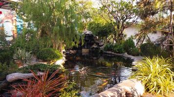 A Japanese garden decorated with a koi pond in front and a waterfall in the background is a tourist attraction in Asia. photo