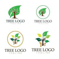 árbol logo icono vector ilustración design.vector silueta de un árbol plantillas de árbol logo y raíces árbol de la vida diseño ilustración