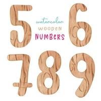 lindos números de madera 5,6,7,8, 9 vector de ilustración de pintura de acuarela