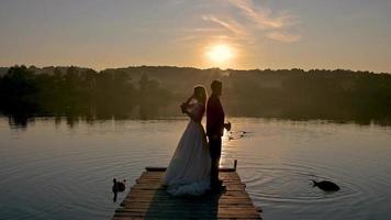 les jeunes mariés nourrissent ensemble des cygnes sur le lac au coucher du soleil video