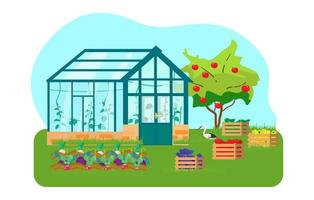 Vector illustration of greenhouse with different plants inside in flat style. Glass house with tomatoes and cucumber plants. Wooden boxes with vegetables. Vegetable beds. Apple tree. Stork.