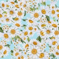 Seamless border with watercolor daisies. Hand drawn botanical drawing. Floral seamless border for fabric, paper and other print and web projects. photo