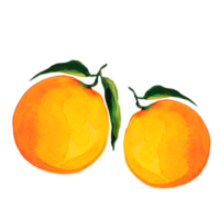 ilustración acuarela naranja png