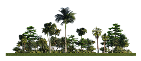 Image de rendu 3ds d'arbres de rendu 3d sur le terrain d'herbes png