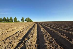 un campo arado foto