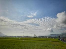 fondo abstracto desenfocado de campos de arroz verde con cielo azul claro en la isla de lombok, indonesia foto