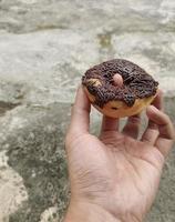 man's hand holding a chocolate donut photo