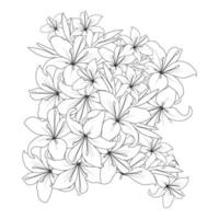 lily flower coloring page drawing with line art drawing for printing element vector