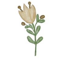 elemento de aquarela de flores png