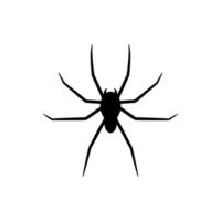 silueta negra de araña aislada sobre fondo blanco. elemento decorativo de halloween. ilustración vectorial para cualquier diseño vector