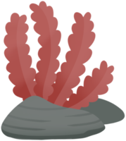 zeewier schattig cartoon kleurrijk zee-element png