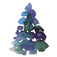 Christmas tree, pine watercolor illustration png