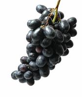 Black grapes isolated on white background photo