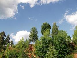 The trees on the hill and the endless sky photo
