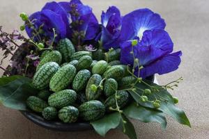 cucamelon también conocido como melothria scabra, pepinillo de pepino agrio mexicano, recién recogido, hermoso arreglo con algunas flores y hojas moradas. primer plano, enfoque selectivo. luz brillante foto