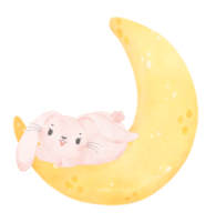 cute baby bunny rabbit on the crescent moon watercolor png