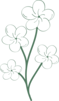 bloemen bloem en bladeren met de hand getekend, abstracte botanische illustratie png