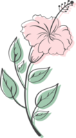 blumen und blätter handgezeichnet, abstrakte botanische illustration png