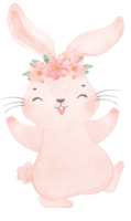 carino dolce principessa coniglietto rosa coniglietto con corona floreale acquerello png