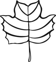 hoja planta árbol dibujo lineal ilustración símbolo vector