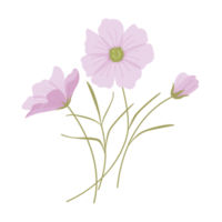 dessin animé d'élément de fleur dans un style plat png