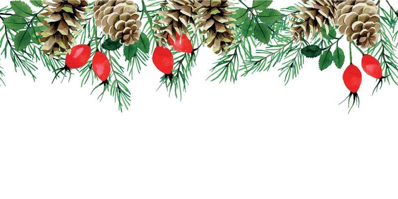 watercolor drawing. seamless border, frame with Christmas plants. spruce branches, fir trees, cones, red rose hips. vintage print, pattern for new year, christmas.
