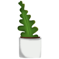 Kaktuspflanze im Topf png