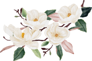 watercolor white magnolia flower and leaf branch bouquet png