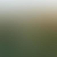 green gradient color perfect for background or wallpaper photo
