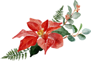 éléments de bouquet de fleurs de poinsettia de noël aquarelle png