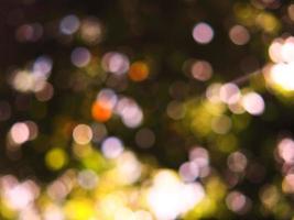 Bokeh blur background green forest photo