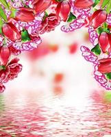 Carnation flowers. floral background photo