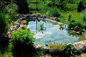 Small pond in the garden as landscaping design element. photo