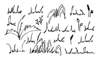 Doodle Grass set. Sketch of bush in simple line art style. Hand drawn vector illustration of herbs. Scribble painted by ink