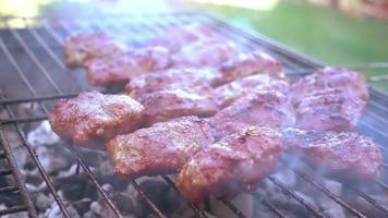 Barbeque footage shows a beautiful day in the garden where a barbecue grill is set up. Meat slices fill the grill and smoke slowly comes up from the grill and spreads. Use this to establish an outdoor video