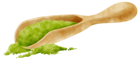 matcha powder watercolor in wooden scoop illustration png