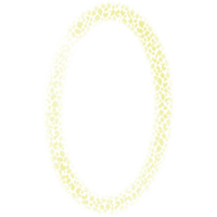 Oval frames in leopard color. png