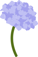 ilustração de flor de hortênsia azul. png