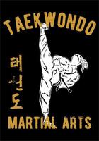 taekwondo vector design for printing product