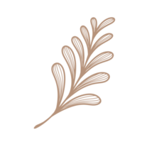 Line Art Leaf png