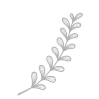 Line Art Leaf png