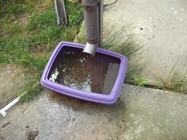 Drinking bowl for animals from rainwater collected from the roof photo