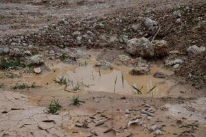 sequía y temporada de verano, paisaje caluroso. imagen de primer plano de tierra seca agrietada. foto