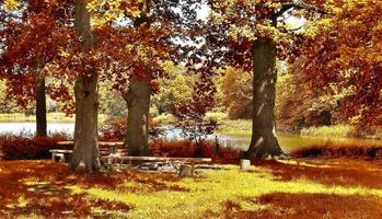 hermosa vista panorámica sobre un paisaje dorado de otoño que se encuentra en europa foto