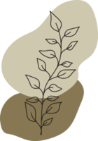 Botanical floral Hand drawn with organic blob shape, leaf and branch element for design png