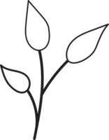 design de contorno de folhas tropicais, ilustração floral de estilo minimalista png