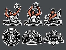 conjunto de logotipos y emblemas de voleibol vector