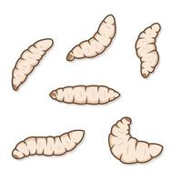 Illustrations of maggots worms isolated on white background vector